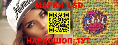 прущие крисы Гуково