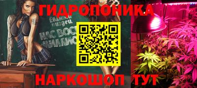 apvp Вышний Волочёк