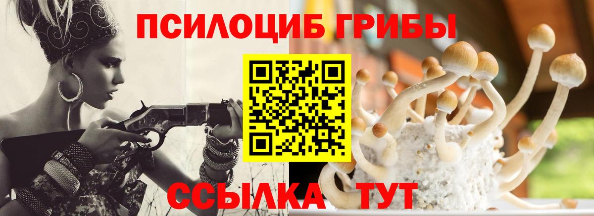 Галлюциногенные грибы мицелий  Вход с VPN  продажа наркотиков  Полевской 